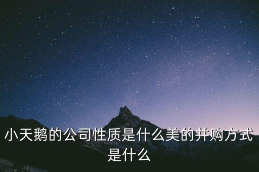 天鵝有什么并購案，小天鵝 合并的品牌