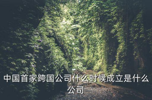 中國首家跨國公司什么時候成立是什么公司