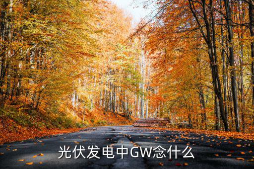 光伏gw是什么意思，wg在光伏發(fā)電里是什么意思