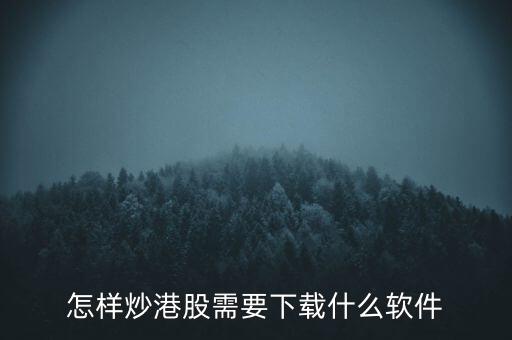 港股資金進(jìn)出用什么軟件，現(xiàn)在內(nèi)地的炒股滬港通用什么軟件