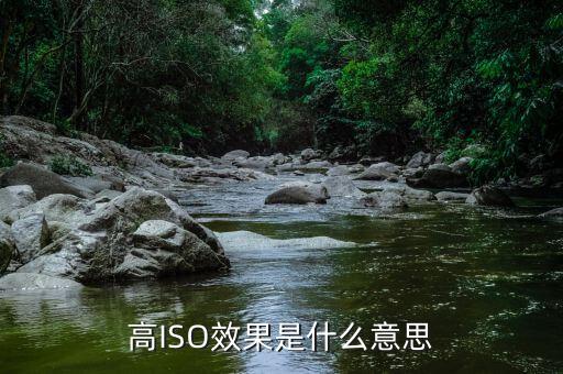 高ISO效果是什么意思