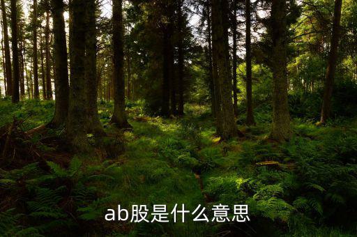 ab股什么意思，AB股是什么意思