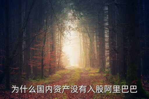 當(dāng)初為什么沒投阿里巴巴，為什么國內(nèi)資產(chǎn)沒有入股阿里巴巴