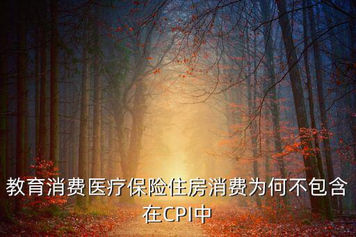 房價為什么不納入cpi，為什么在中國房價不算入CPI消費水平也就是物價里面