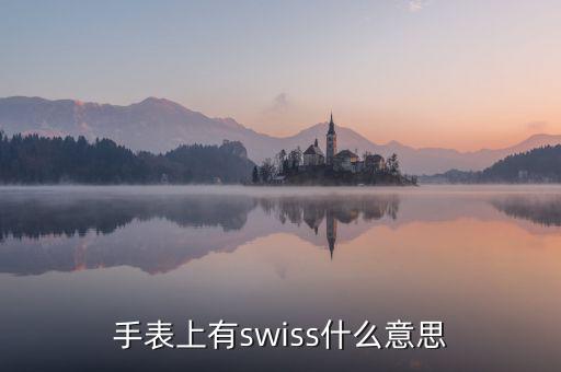 歐行手表什么意思，手表上有swiss什么意思