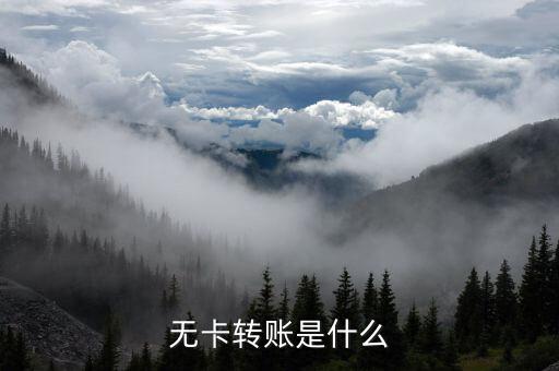 什么是無(wú)卡轉(zhuǎn)賬，什么叫無(wú)卡轉(zhuǎn)賬