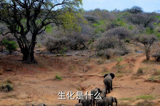 長安生化是什么呢，生化是指什么呀