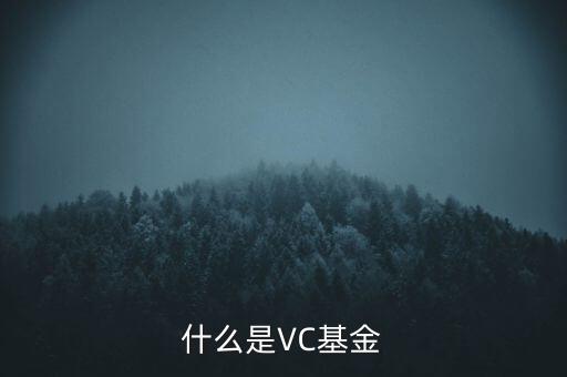 vc基金是什么，什么叫VC基金