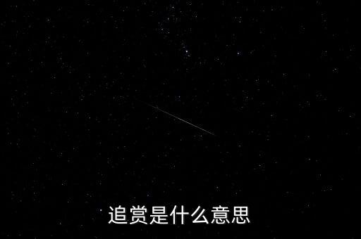 追賞是什么意思