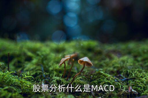 股票中macd是什么意思，股票中MACD指標(biāo)是什么意思