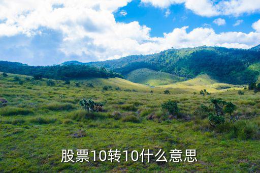 股票10送10轉(zhuǎn)10是什么意思，股市什么是10送10