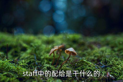 staff中的配給是干什么的