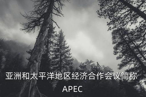 亞洲和太平洋地區(qū)經(jīng)濟(jì)合作會(huì)議簡(jiǎn)稱 APEC