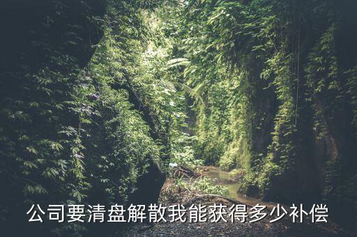 公司要清盤解散我能獲得多少補(bǔ)償