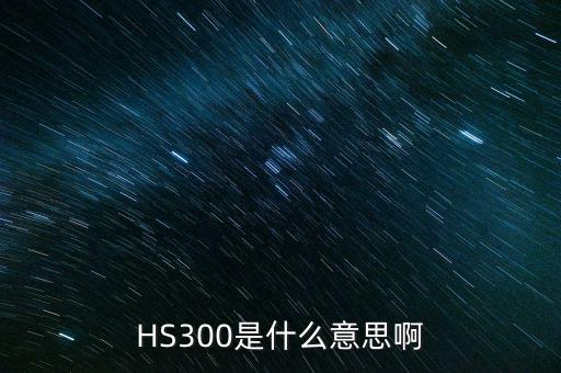 HS300是什么意思啊