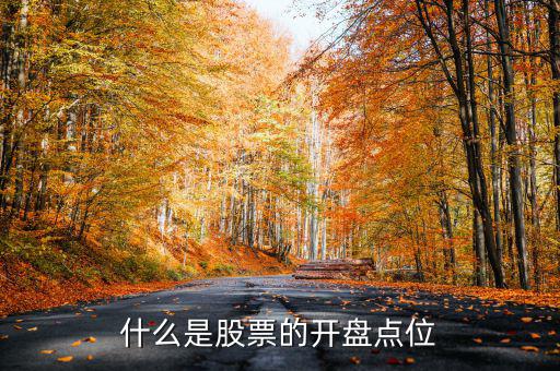 什么是股票的開盤點(diǎn)位