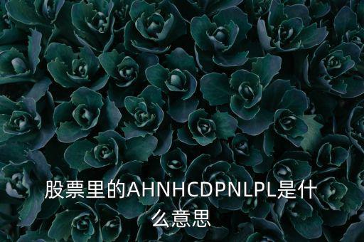 股票nl是什么意思，股票里的AHNHCDPNLPL是什么意思