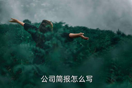  公司簡報(bào)怎么寫