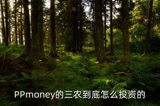 PPmoney的三農(nóng)到底怎么投資的