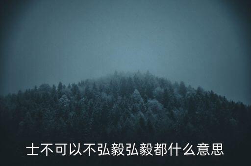 市布可以不弘毅什么意思，曾子曰士不可以不弘毅 什么意思