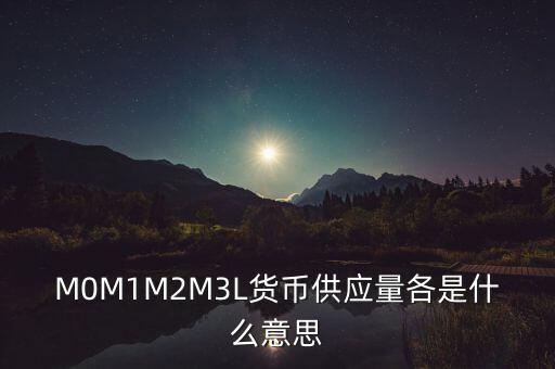 M0M1M2M3L貨幣供應量各是什么意思