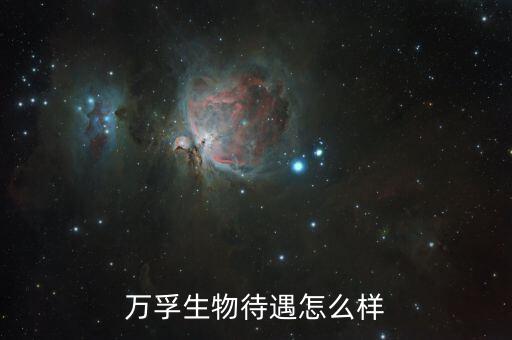 萬(wàn)孚生物待遇怎么樣