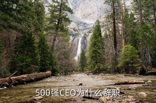 羅建川為什么辭職，500強CEO為什么辭職