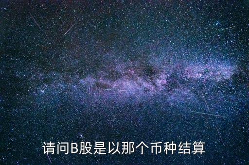 請問B股是以那個幣種結算