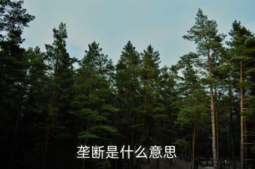 價(jià)格壟斷是什么意思，壟斷是什么意思