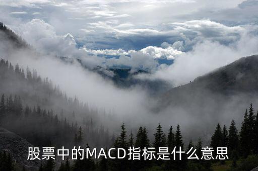 股票中的MACD指標(biāo)是什么意思