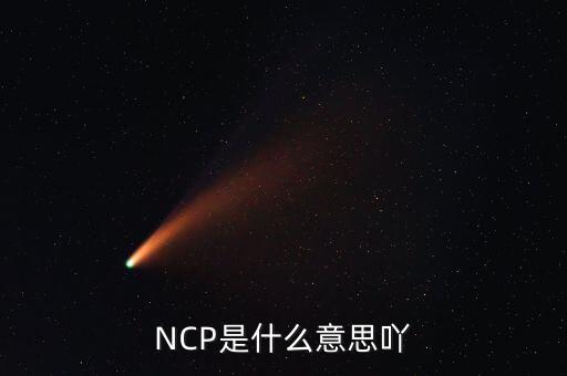 可比企業(yè)ncp是什么簡稱，NCP是什么意思吖