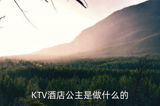 酒店出臺是干什么的，KTV酒店公主是做什么的