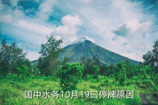 2015年10月江蘇索普為什么停牌，國中水務(wù)10月19曰停牌原因