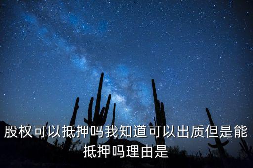 股權為什么不能抵押，股權可不可以進行抵押