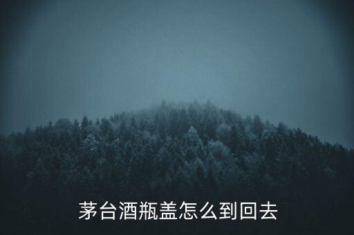  茅臺酒瓶蓋怎么到回去