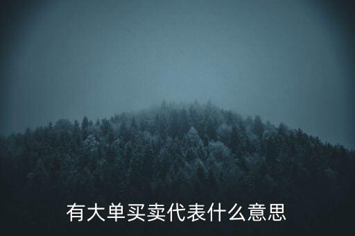 在買5成交有大單是什么意思，股票中大單是什么意思