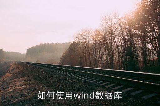 如何使用wind數(shù)據(jù)庫(kù)