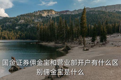 國金證券傭金寶和營業(yè)部開戶有什么區(qū)別傭金寶是什么