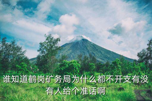 誰知道鶴崗礦務(wù)局為什么都不開支有沒有人給個(gè)準(zhǔn)話啊