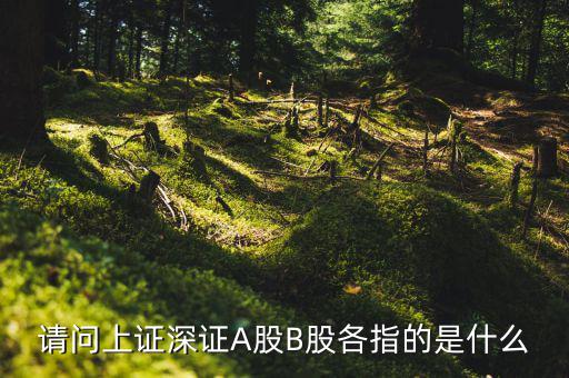 請(qǐng)問上證深證A股B股各指的是什么