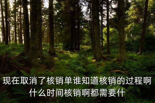 現(xiàn)在取消了核銷單誰知道核銷的過程啊什么時間核銷啊都需要什