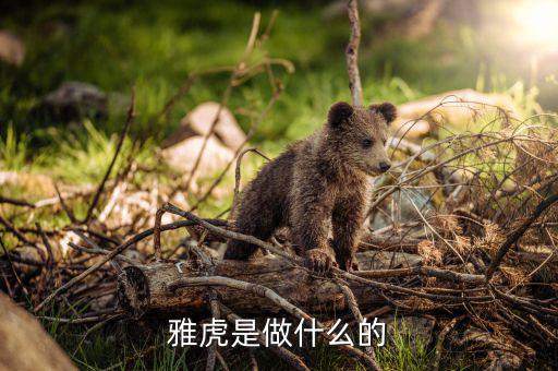 雅虎是做什么的，雅虎是干什么的