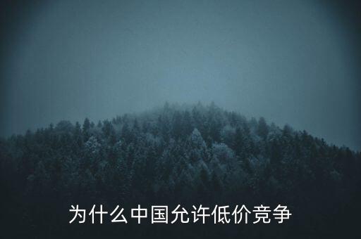 為什么中國允許低價競爭