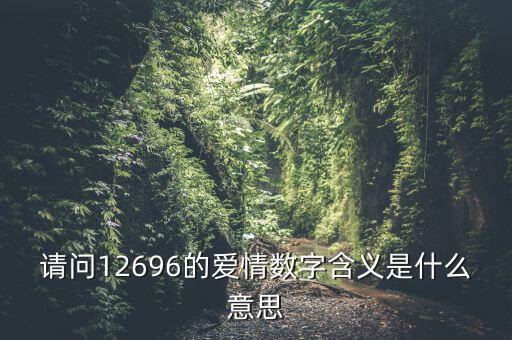 請(qǐng)問12696的愛情數(shù)字含義是什么意思