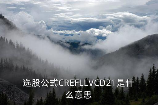 股票里的D2什么意思，選股公式CREFLLVCD21是什么意思