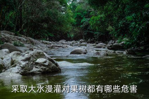 采取大水漫灌對果樹都有哪些危害