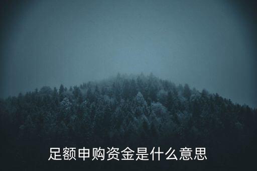 足額申購資金是什么意思