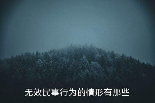 無效民事行為的情形有那些