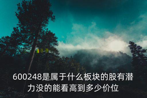 600248是屬于什么板塊的股有潛力沒(méi)的能看高到多少價(jià)位