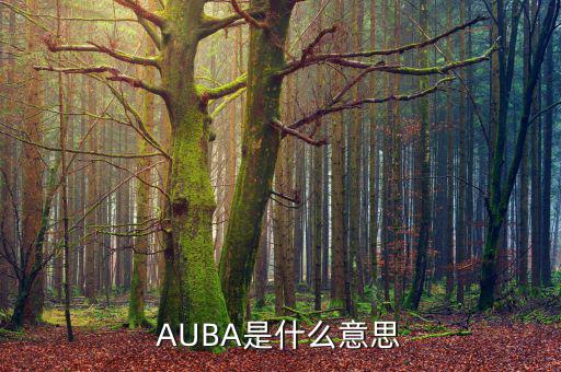 華夏現(xiàn)金增利貨幣a是什么，AUBA是什么意思